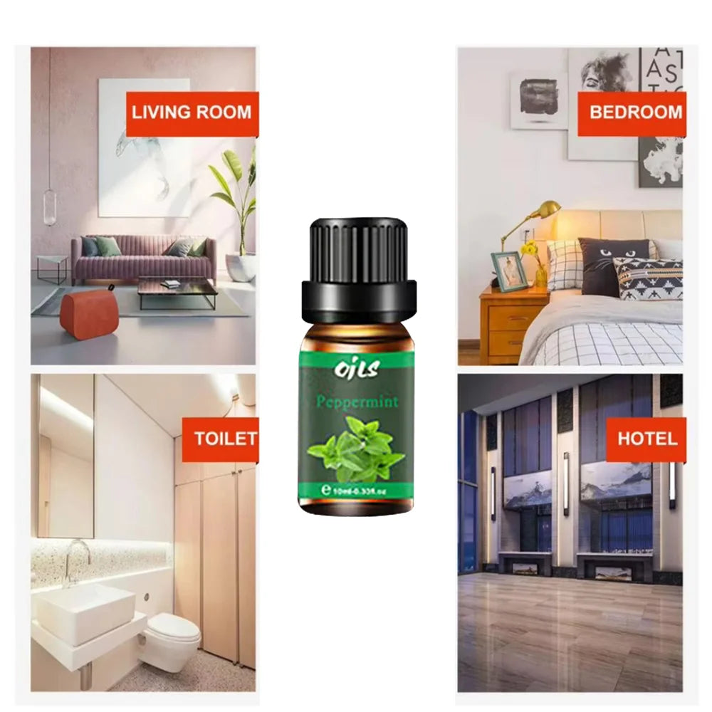 Essential Oil Kit with 6 Fragrance Oils for Diffuser (Includes Eucalyptus,Vanille,Citronella,Lemonggrass,Rosemary,Peppermint)