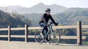 Bicycles (Adults)