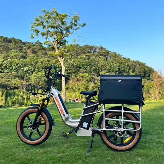 US STOCK Electric Bicycle 48V 30AH 750W  Rear Hub Motor, 7-speed  Double Lithium Battery, Cargo Electric Vehicle